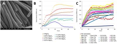 Phenomics and Genomics Reveal Adaptation of Virgibacillus dokdonensis Strain 21D to Its Origin of Isolation, the Seawater-Brine Interface of the Mediterranean Sea Deep Hypersaline Anoxic Basin Discovery